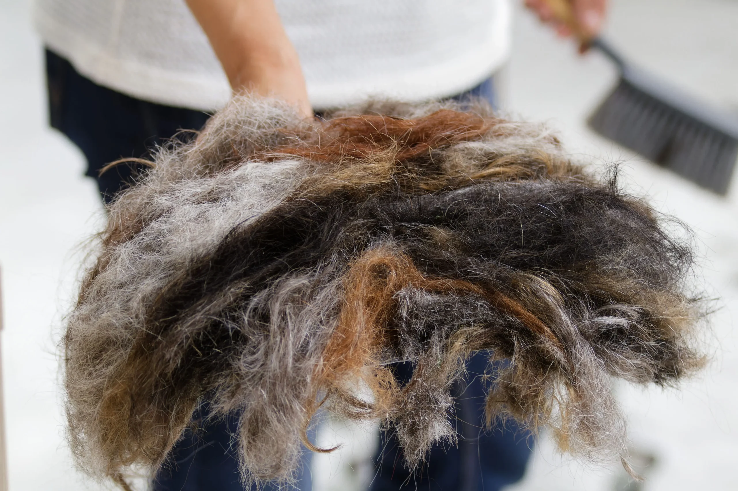 illustration de l'initiative solidaire dans laquelle est engagé le salon Arsene coiffure avec une touffe de cheveux récoltée